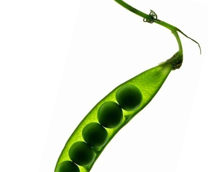 Vitamin B3